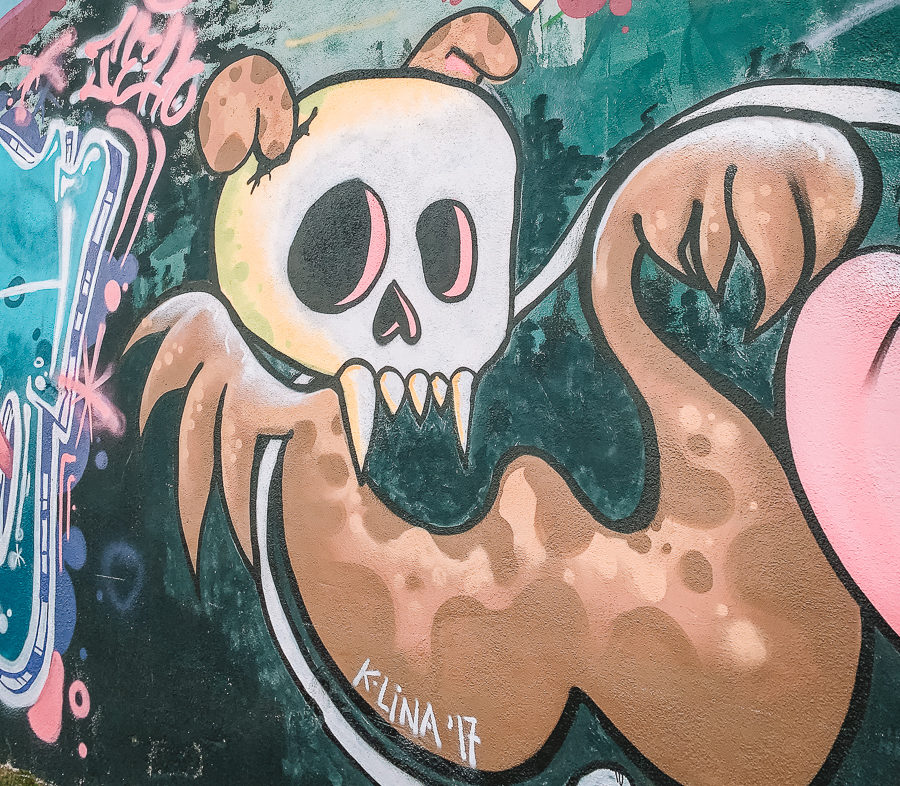Granada Street Art Skull
